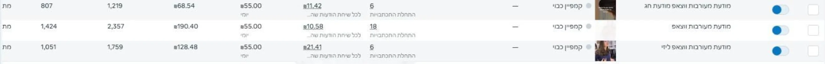 צילום מסך ממנהל המודעות — מיכל